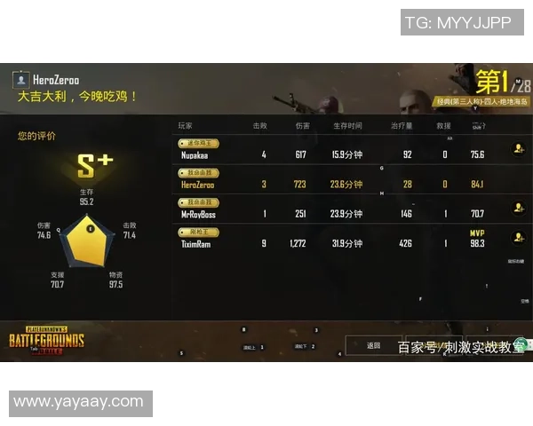 和平精英V5战队实力分析与战术探讨之路